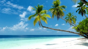 Malediven - Tropenstrand - Reiseziele Beller & Preuss - Reisebüro Rosenheim