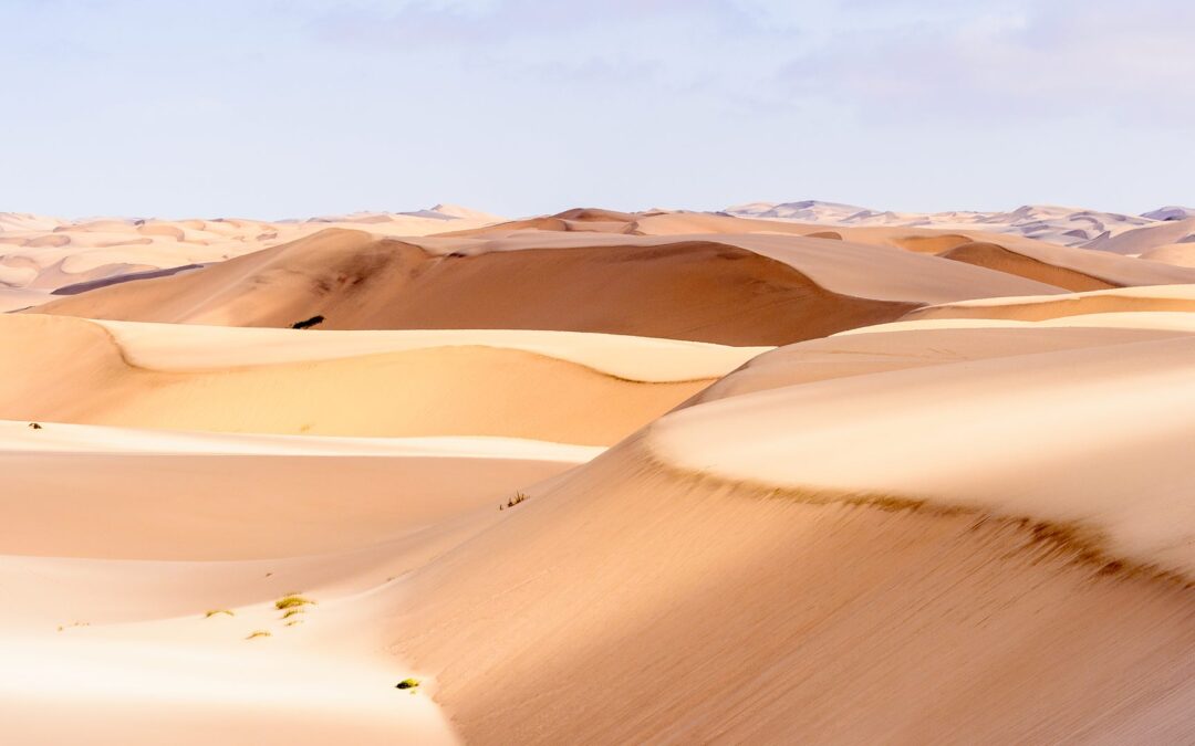 Afrika | Namibia  | ©Anton-Ivanov/Shutterstock.com