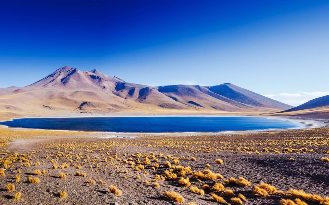 Chile | Hochland | ©Olga Danylenko/Shutterstock.com