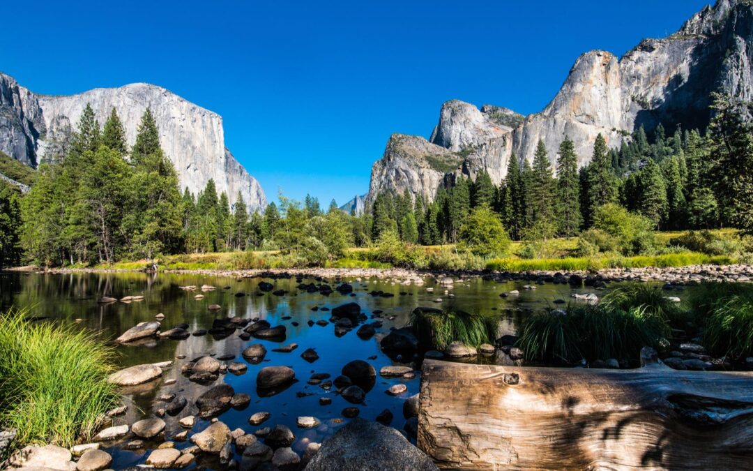 USA | Yosemite National Park | ©Mikhail Kolesnikov/shutterstock.com